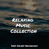 Zen Garden - The Rainforest Collective & Rest & Relax Nature Sounds Artists