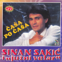 Nema para, nema srece - Sinan Sakic