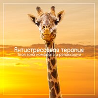 Ледяная комната - Anti Stress Music Zone