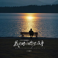我的眼泪你不在乎 - 王振宇