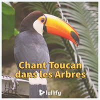 Fuir la ville - Lullify Français