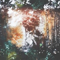Interwoven - Unreqvited