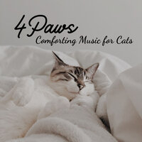 Calming Composition - Relax My Cat & Cat Music Therapy & Cat Music Dreams