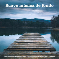 Musica para meditacion - Soft Background Music & Piano Pacifico & Relajación Piano