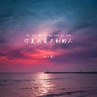 你是我爱不到的人 - QL一星