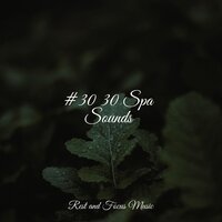 Calming Melody - Spa Relaxation & Meditação Yoga & Soothing White Noise For Infant Sleeping And Massage