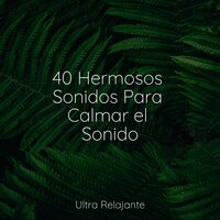 Sueños Pacíficos - Dulces Sueños & Musica Relajante Specialistas & Musica Relajante & Musica para Dormir Dream House