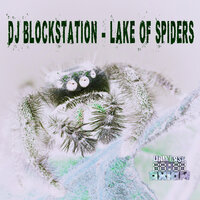 Lake Of Spiders - DJ Blockstation