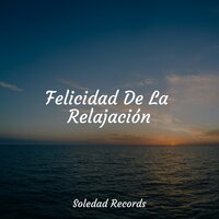 Solo Para Relajarse - Musica Relajante Para Dormir & Música Relajante para Perros & Meditacion Budista Maestros