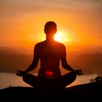 Capas Musicales Meditativas - Elefantes ancestrales & Reposo Meditativo & Streaming en paz total