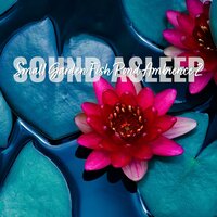 Small Garden Fish Pond Ambience, Pt. 4 - Elijah Wagner