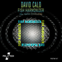 Intergalactic Announcer - David Calo