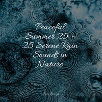 Soothing Beach Ambience (Gentle Waves) - Sleep Waves & Spa Music Collective & The Relaxing Sounds of Water