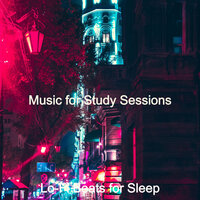 Ambiance for Homework - Lo-fi Beats for Sleep