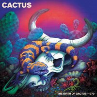 Feel so Good - Cactus