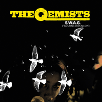 S.W.A.G. - The Qemists & Devlin Love