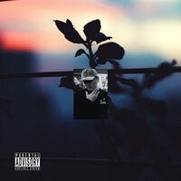 Now - Samurai Stan