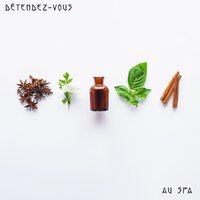 Paix intérieure - Mélodies de la nature & Relaxing Spa Oasis