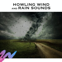 Sound of Wind and Rain (Loopable) - Study Radiance & Lightning, Thunderstorms & Rain Storm Sounds & Rain Storm Sounds