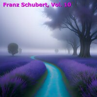 Symphony No. 9 in C Major, D.944: No. 4. Allegro vivace - Berliner Philharmoniker & Wilhelm Furtwängler & Франц Шуберт