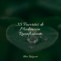 En Lo Profundo De Las Cuevas - Relajante Academia de Música Zen & meditación Interna & Piano Relajante