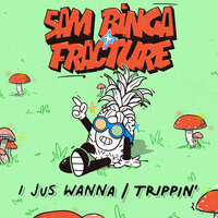 I Jus Wanna - Sam Binga & Fracture
