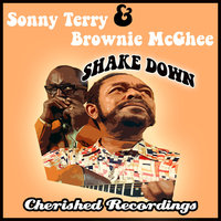 Harmonica Rag - Sonny Terry