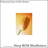 Journey Within With Ambient Sound Healing For Sleep - Sleep BGM Mindfulness