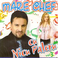 Traiasca Micii - Nicu Paleru