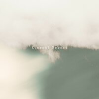 Eternal Forest (Rain) - Adam Bokesch