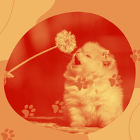 Beautiful Ambiance for Well Behaved Dogs - Doggy Music