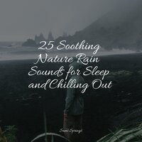 Sound of Storms - Asian Zen: Spa Music Meditation & Sleep Sounds Of Nature & Sound of Rain