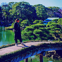 音(調査) - ロフィ・ヒップホップ 贅沢