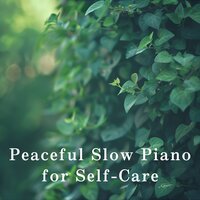 Echoes of Serene Dreams - Relax α Wave