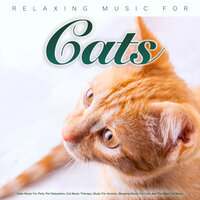 The Best Sleeping Music For Cats - Music For Cats & Cat Music Therapy & Cat Music Experience