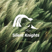 Shhh White Noise Chord - Silent Knights