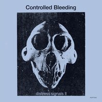 Untitled 6 - Controlled Bleeding