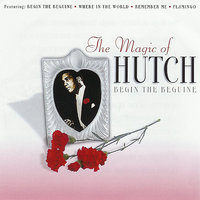 Flamingo - Hutch