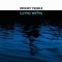 Celestial Blues - Dwight Trible