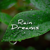 Snow Storm - Rain Sounds
