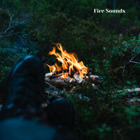 Fire Noises - Fireplace Sounds & Fire Sounds & The Nature Soundscapes