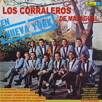 Perdona Mi Franqueza - Los Corraleros de Majagual & Chico Cervantes & Eliseo Herrera