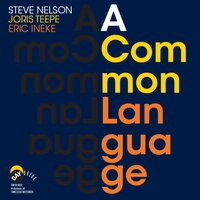 Satin Doll - Steve Nelson & Joris Teepe & Eric Ineke