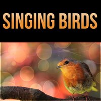 Relaxation Music - Natural Sounds Music Academy