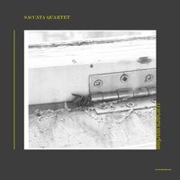 Umm - Saccata Quartet & Nels Cline & Chris Corsano & Darin Gray & Glenn Kotche
