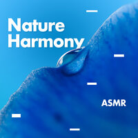 Free Your Mind - ASMR
