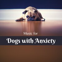 More Than a Pet - Music for Dogs Collective