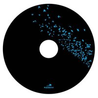 Solo - A June & J Beat & Landon wordswell