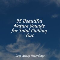 Sounds of Silence - Preschool Kids & Música para Massagem Especialistas & Zen Meditate