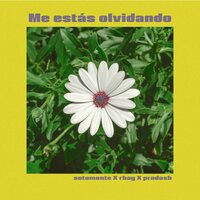 Me Estás Olvidando - Rhay & Sotomonte & Pradash